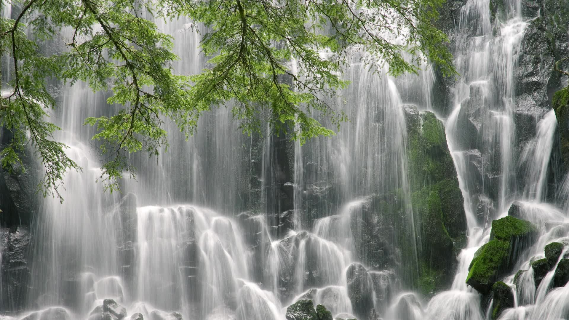 世界游艇青年赛环保科研基金成立，世界青年赛艇锦标赛